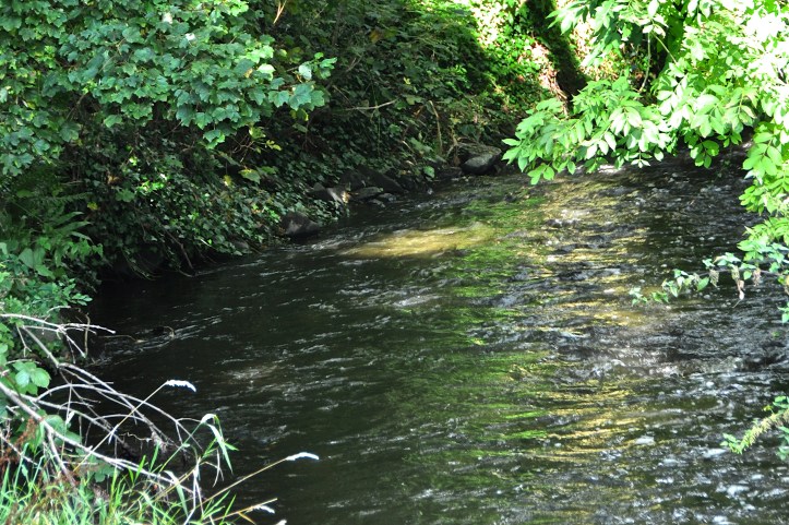 Blackwater at Ballyministragh