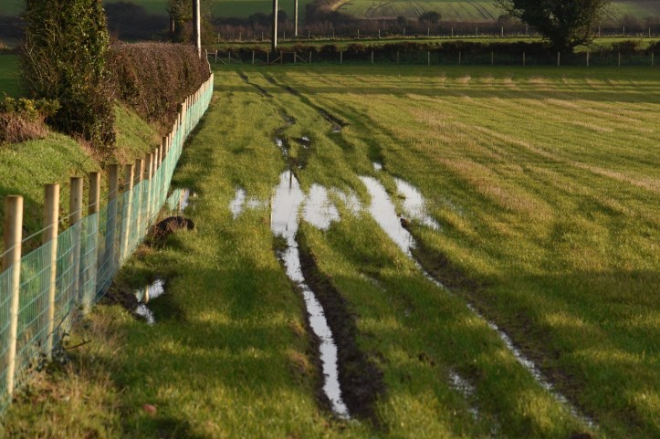 Ballyaltikilligan wet field
