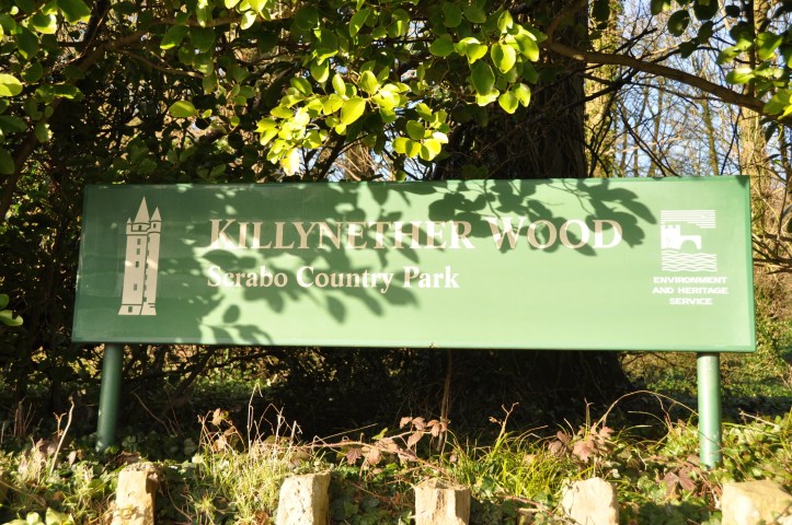 Killynether Wood