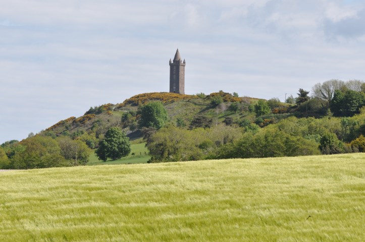 Ballycullen view to Scrabo