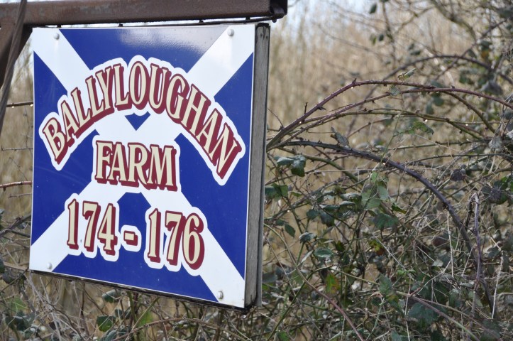 Ballyloughan Farm sign
