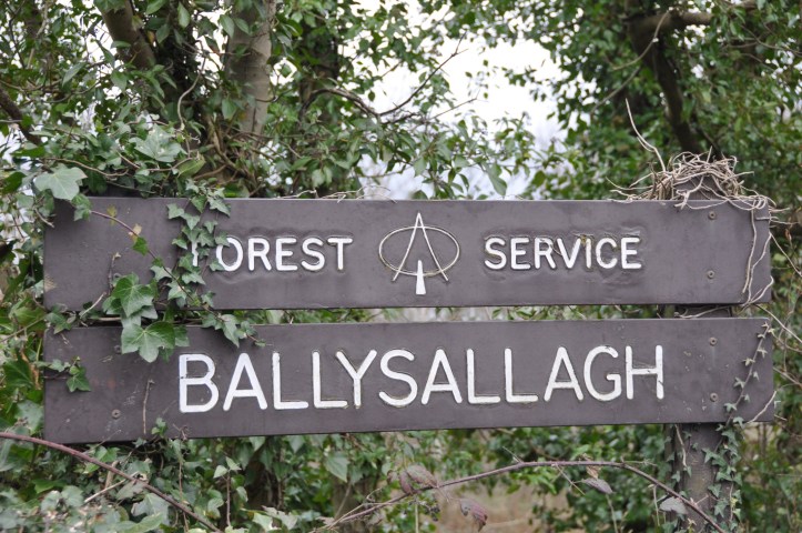 Ballysallagh Forest sign
