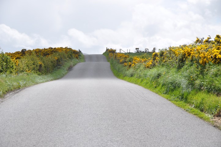 Carrowreagh Road with gorse
