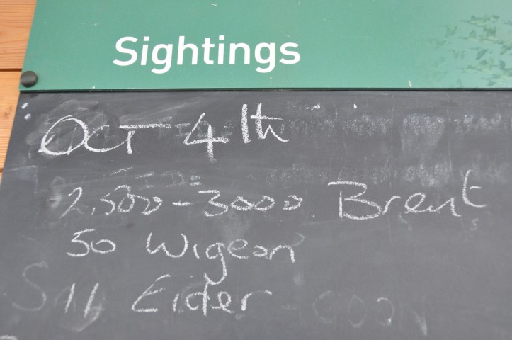 Castle Espie chalkboard