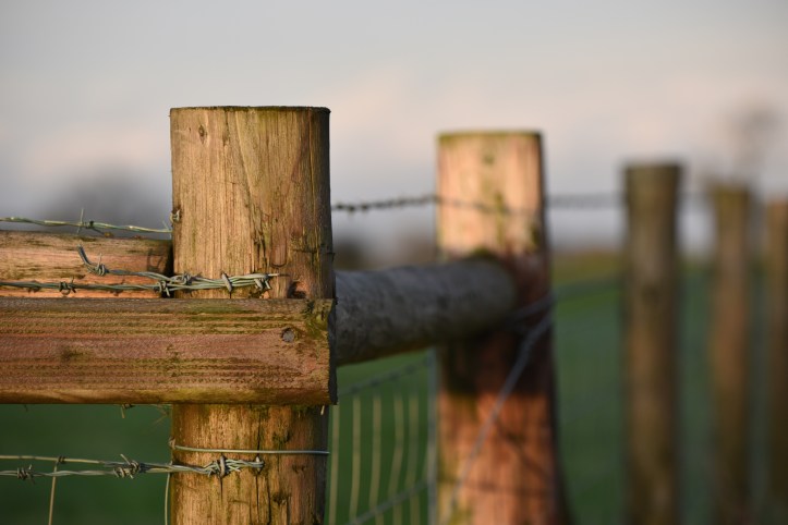 Dunlady wooden fence
