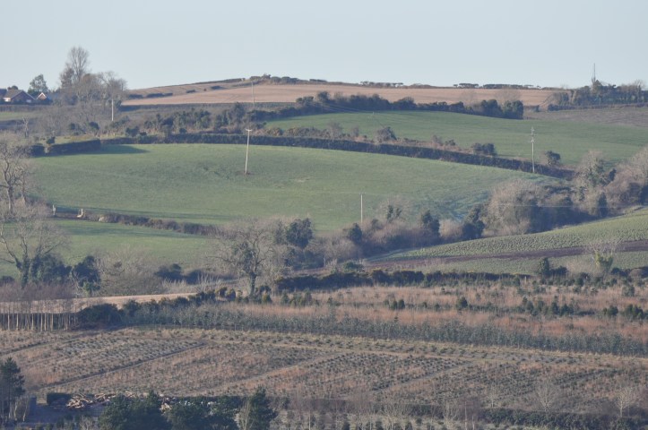 NI Farm Forestry fields