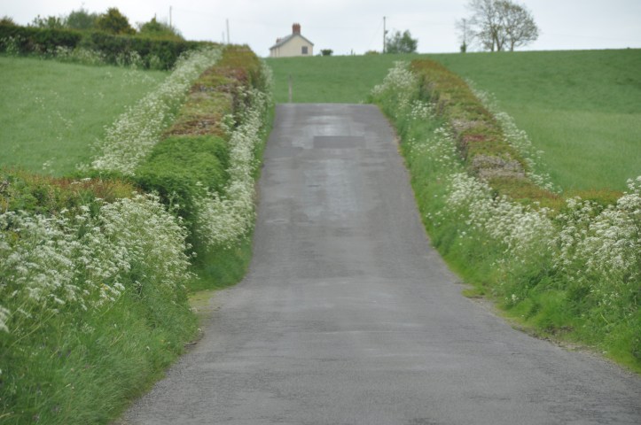 Thornyhill Road Raffrey