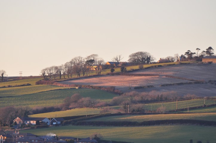 Ballyregan fields (1)