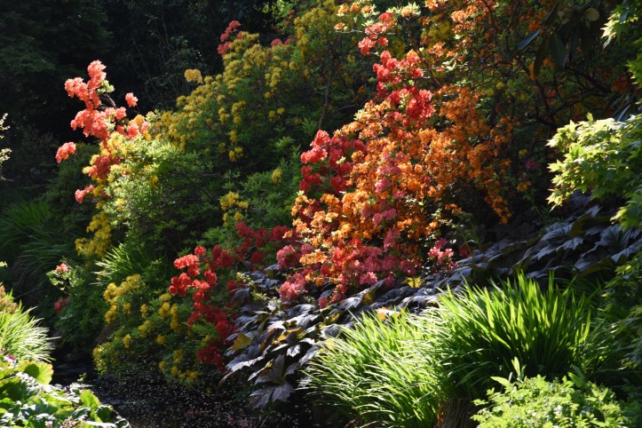 Clandeboye Estate garden
