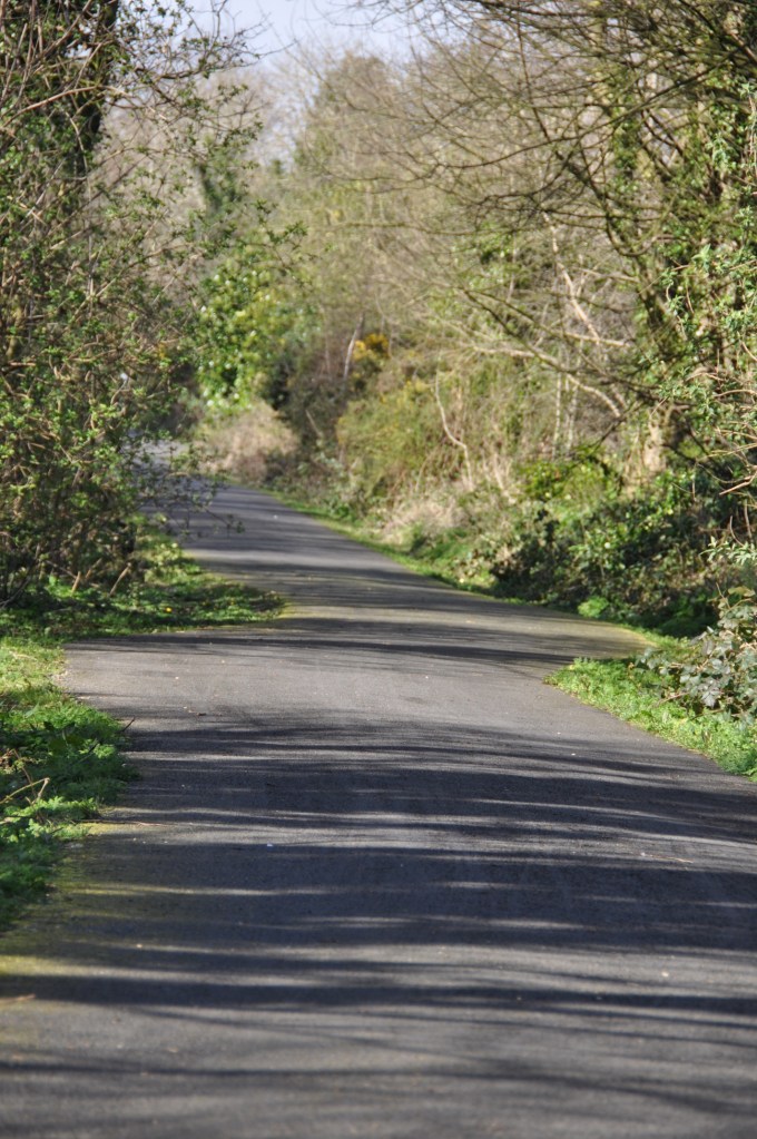 Greenway near Dundonald Station