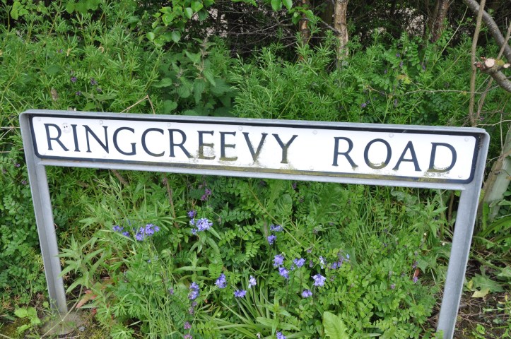 Ringcreevy Road