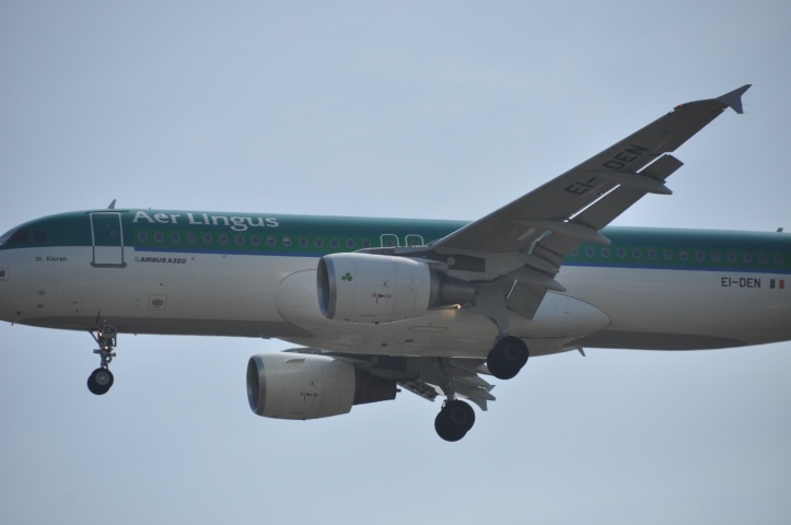 Are Lingus above Victoria Park