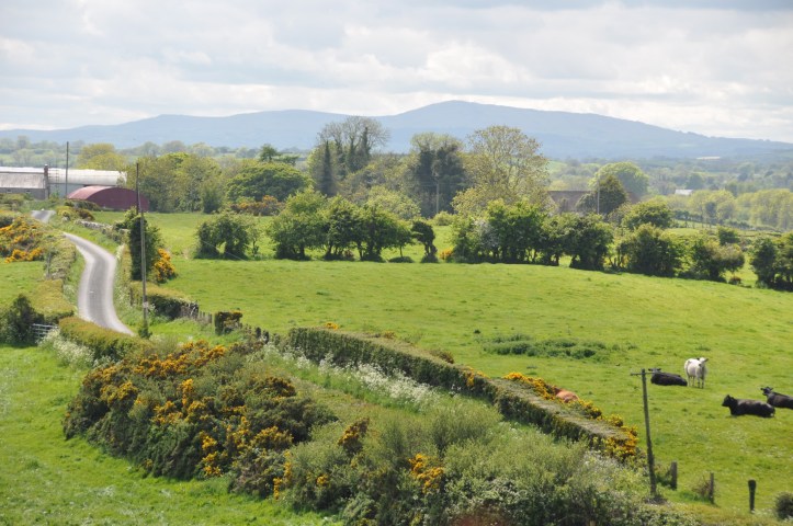 Ballygeegan landscape 2