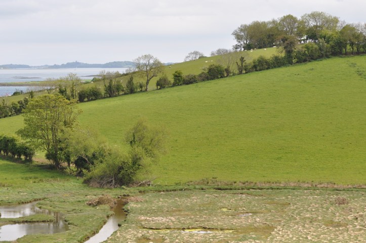 Ballymacarron drumlin