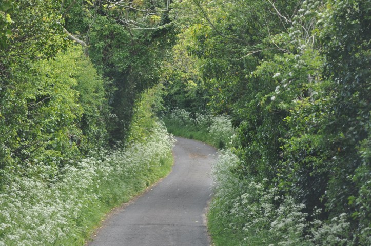 Ringdufferin narrow road