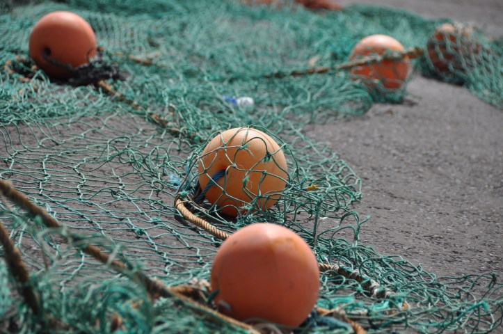 Portavogie nets