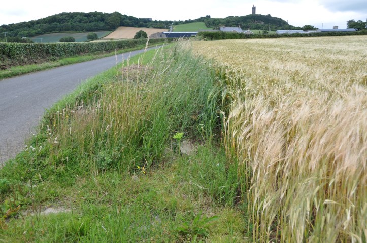 Moate Road Castleaverry