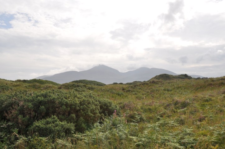 Murlough nature reserve