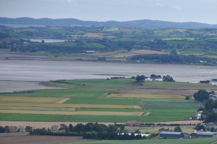 Ringcreevy from Scrabo 2