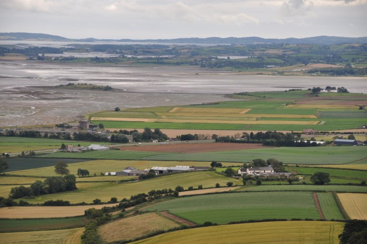 Ringcreevy from Scrabo