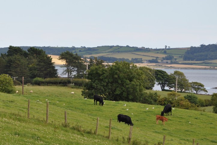 View from Ringdufferin Road