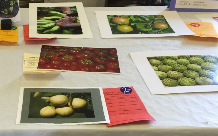 Comber show photograph table