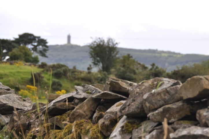 Mountain Road view of Scrabo and stone wall (1)