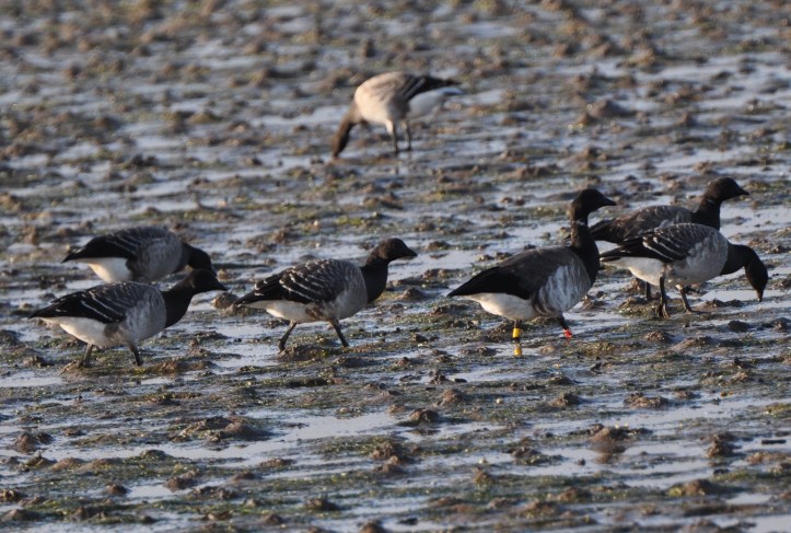 32RY with family? (1)