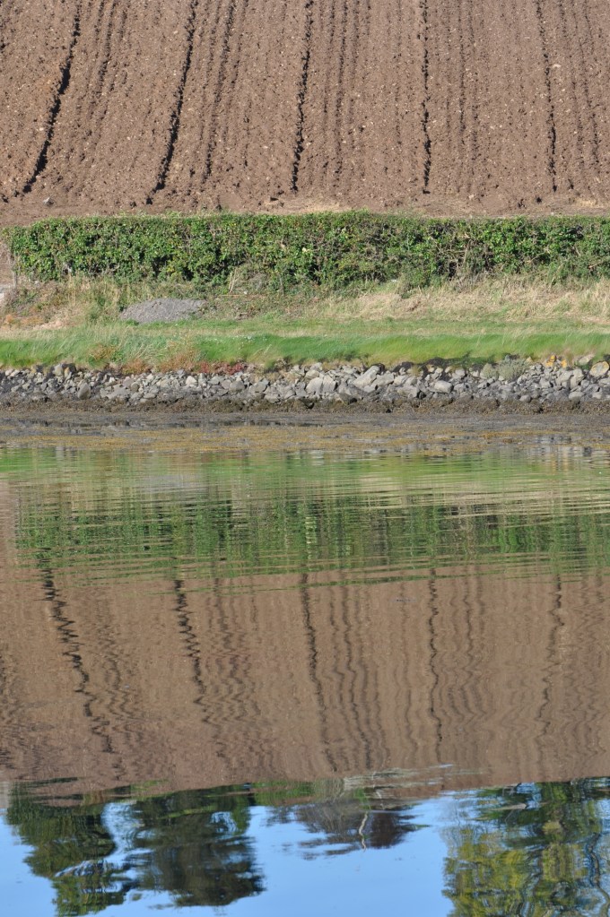 Ballydorn farm reflection
