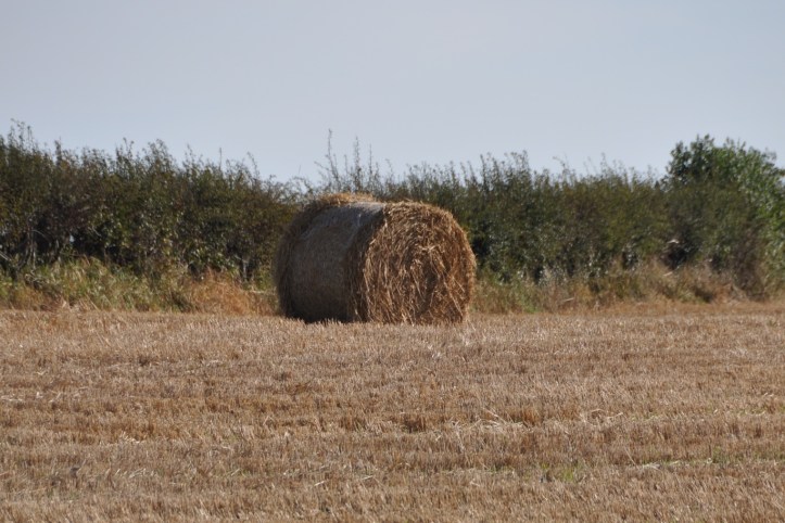 Ballyvester bale (1)