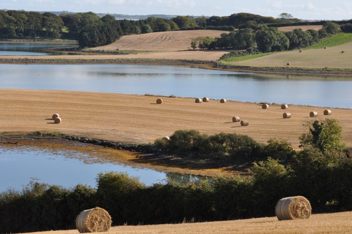 Quarterland farmland bales