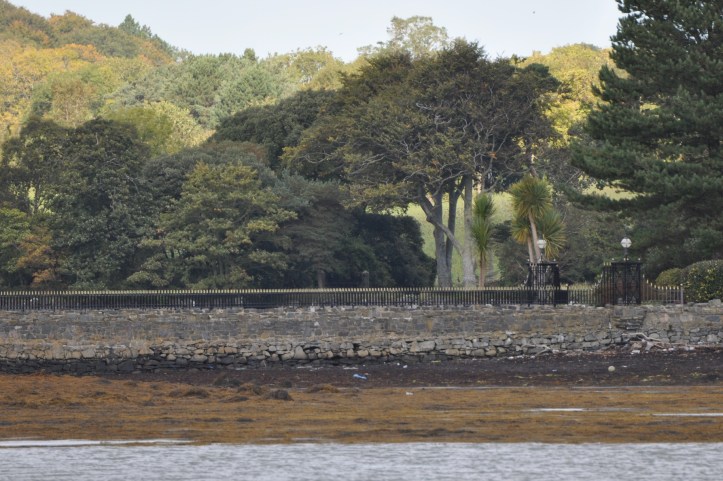 Simmy Island Rathcunningham