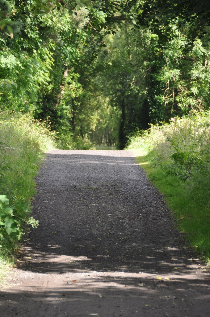 Ballyvarnet path