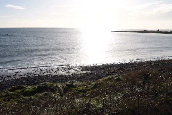 Templepatrick looking south