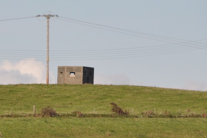 Templepatrick pillbox (1)
