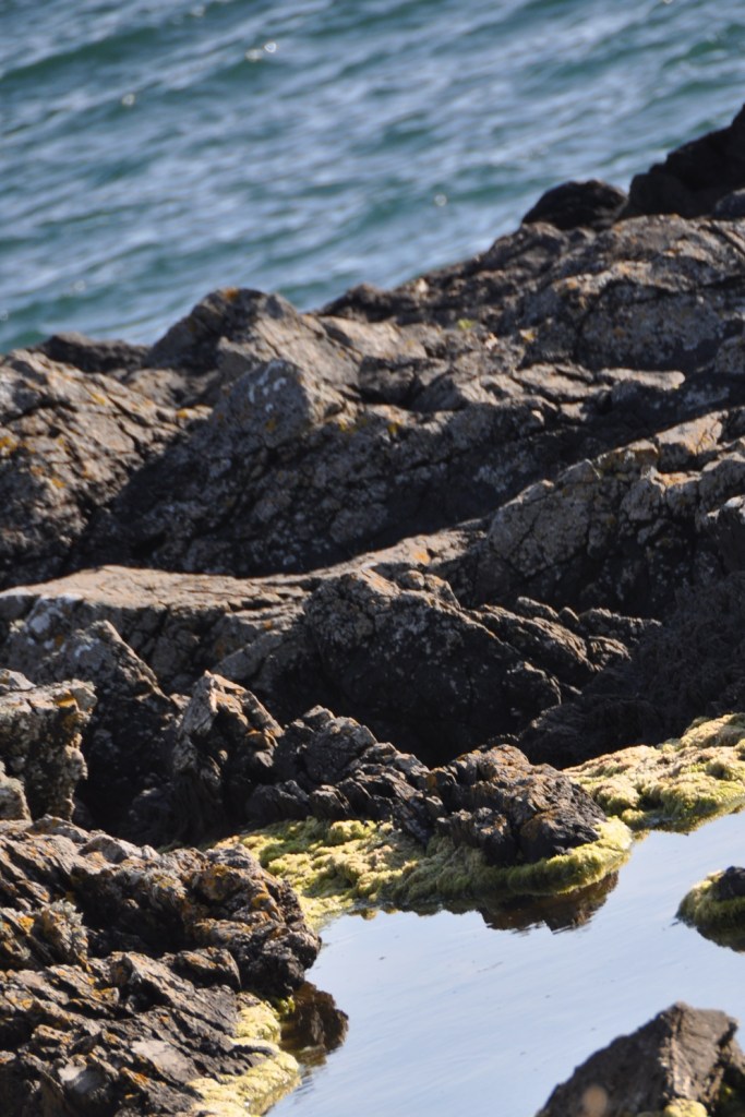 Templepatrick rockpool