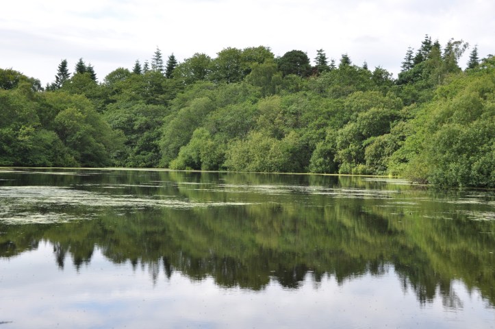 Lake on Clandeboye Way (1)