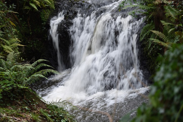 Stricklands Glen Bryansburn waterfall in Ballyvarnet