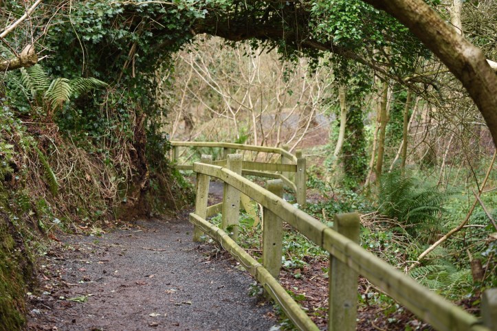 Stricklands Glen path in Ballyvarnet