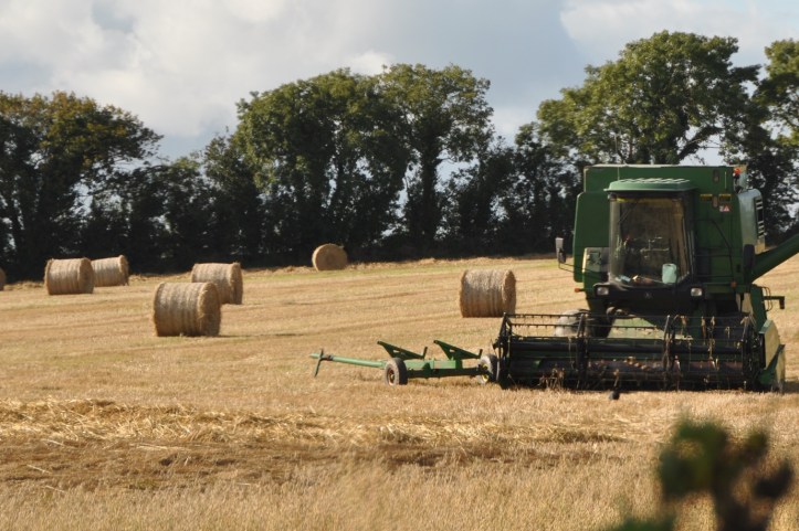 Ballybunden harvest (1)