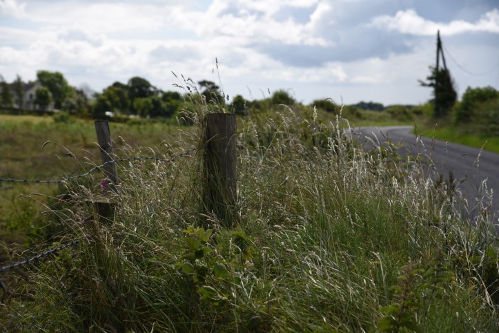 Lisleen Road and fence
