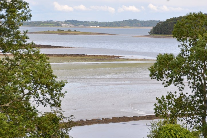 Lough as seen from Nendrum