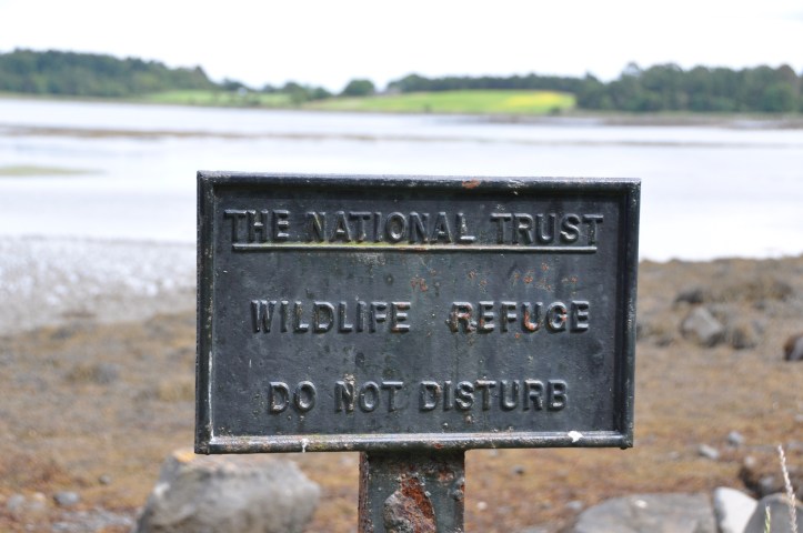 Reagh Island Wildlife sign