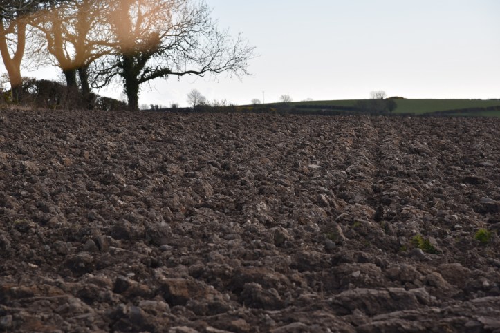 Carrickmannan ploughed field