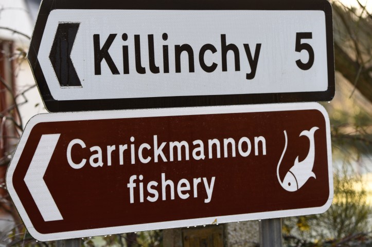 Carrickmannan trout fishery sign