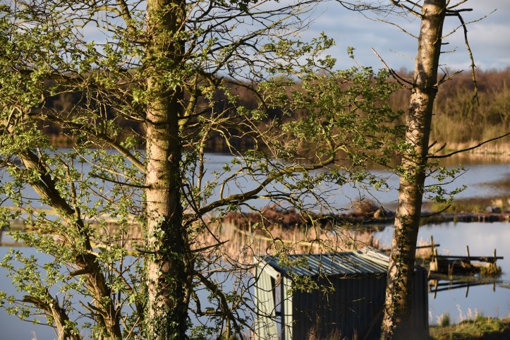 Carrickmannan trout fishery