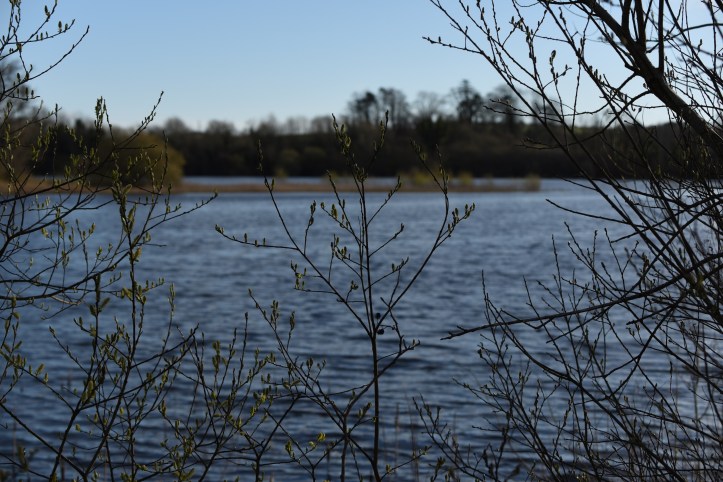 Clea Lakes from Tullyveery