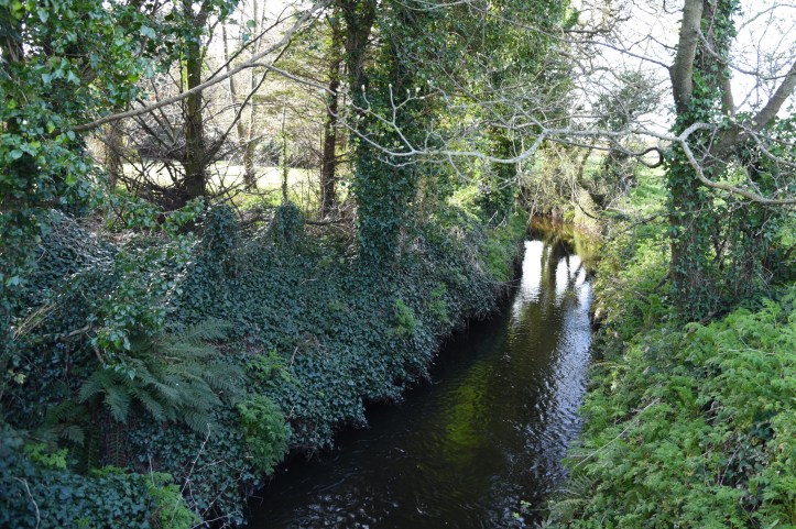 Cunningburn river and trees