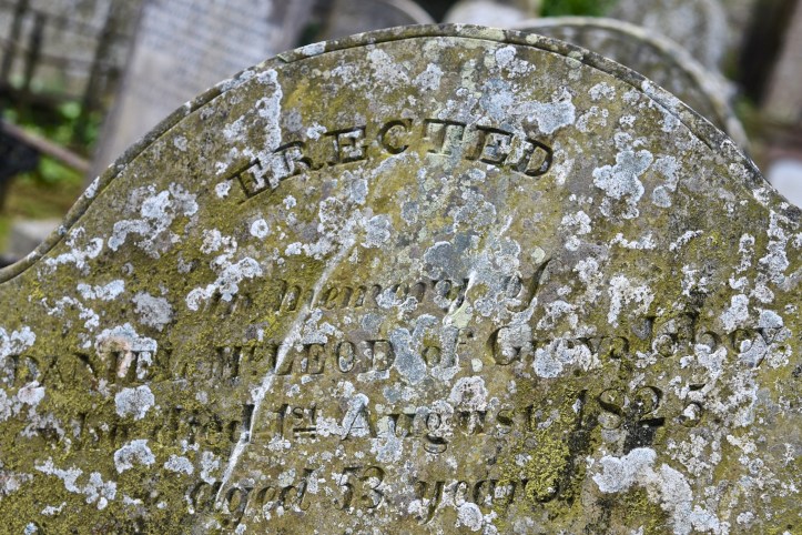 Grave for McLeod of Greyabbey in Greyabbey