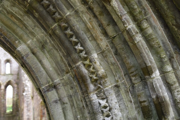 Greyabbey abbey wall